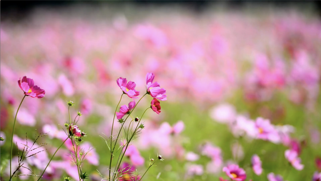 >パーソナルカラー・骨格診断アナリスト在籍美容室　SAYURI